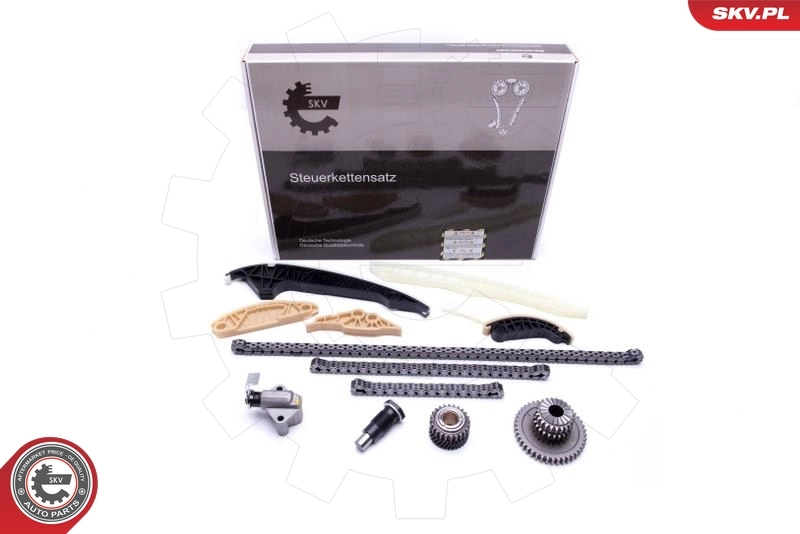 Timing Chain Kit